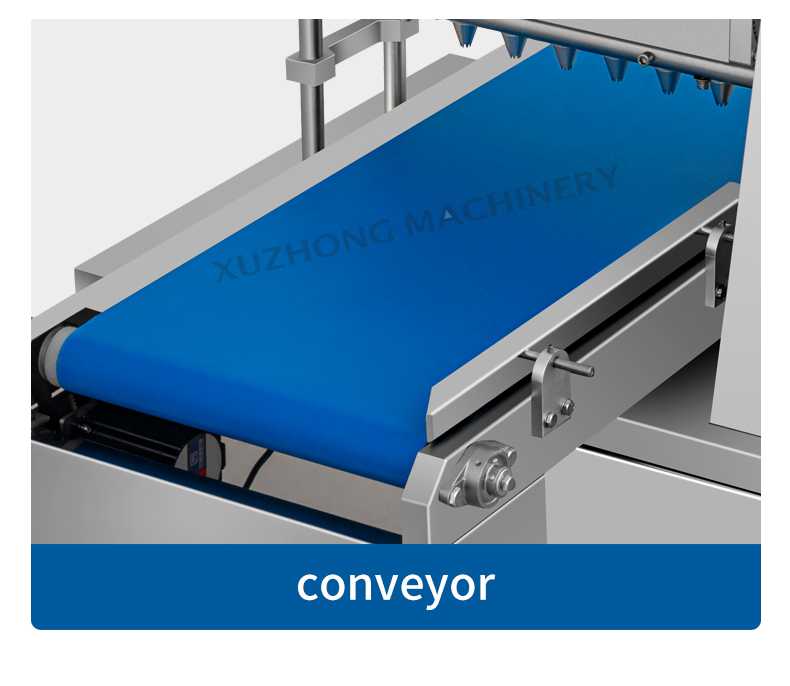 Cookie machine conveyor belt.jpg